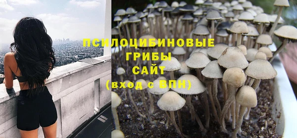 метамфетамин Гусев